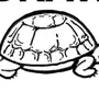 Черепаха Рисунок Сверху