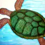 Морская Черепашка Рисунок Для Детей