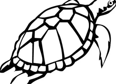 Морская черепаха рисунок