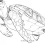 Морская черепаха рисунок