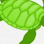 Черепаха В Воде Рисунок