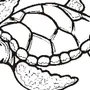 Черепаха Рисунок 1 Класс
