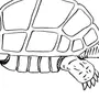 Красноухая черепаха рисунок