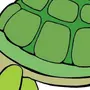 Панцирь Черепахи Рисунок