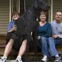Фотки самых больших собак в мире