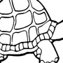 Картинки черепах черно белые