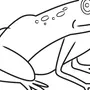 Легкий рисунок лягушки