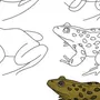 Картинки с нарисованные карандашами с лягушкой