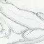 Рисунок лягушки для срисовки