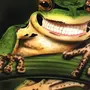 Смешные жабы картинки