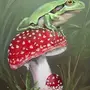 Лягушка С Мухомором Рисунок