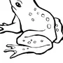 Рисунок 2 Лягушки