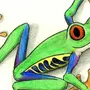 Лягушка с цветком рисунок
