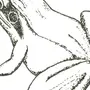 Лягушка с цветком рисунок