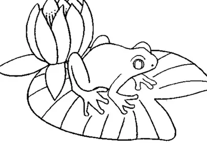 Лягушка на кувшинке рисунок