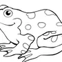 Картинка лягушка для детей раскраска