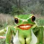 Смешные лягушки картинки