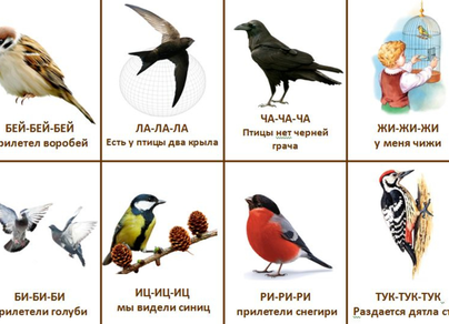 Птицы для детей