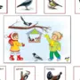 Птицы для детей