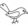 Птица картинка рисунок
