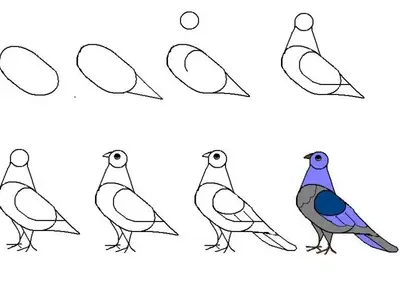 Легкий рисунок птицы