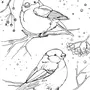 Рисунок Зимующие Птицы