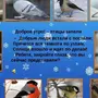 Птицы Свердловской Области И Название