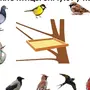 Птицы Картинки Для Детей