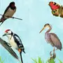 Птицы Картинки Для Детей