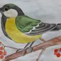 Птицы России Рисунки