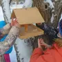 Дети кормят птиц