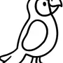 Птица картинка для детей рисунок