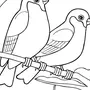 Картинка птицы раскраска