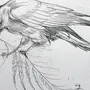 Птицы Рисунок
