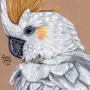 Птицы рисунок
