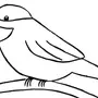 Рисунок Птицы 2 Класс