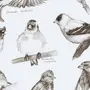 Картинки для перерисовки легкие птицы