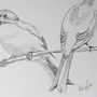 Картинки Для Перерисовки Легкие Птицы