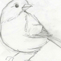 Картинки Для Перерисовки Легкие Птицы