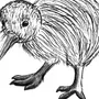 Рисунок птица киви
