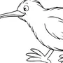 Рисунок птица киви