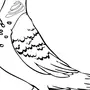 Зимующие птицы картинки раскраски