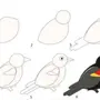 Рисунок Птицы Поэтапно