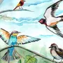 Птицы Весной Картинки Для Детей