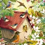 Птицы Весной Картинки Для Детей
