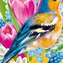 Весенние птицы картинки для детского сада