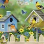Весенние Птицы Картинки Для Детского Сада