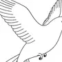 Контурные изображения птиц