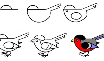 Схематическое изображение птицы