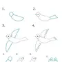 Схематическое изображение птицы